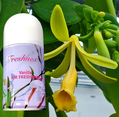 Vanilla Fragrance Spray Can Air Freshener